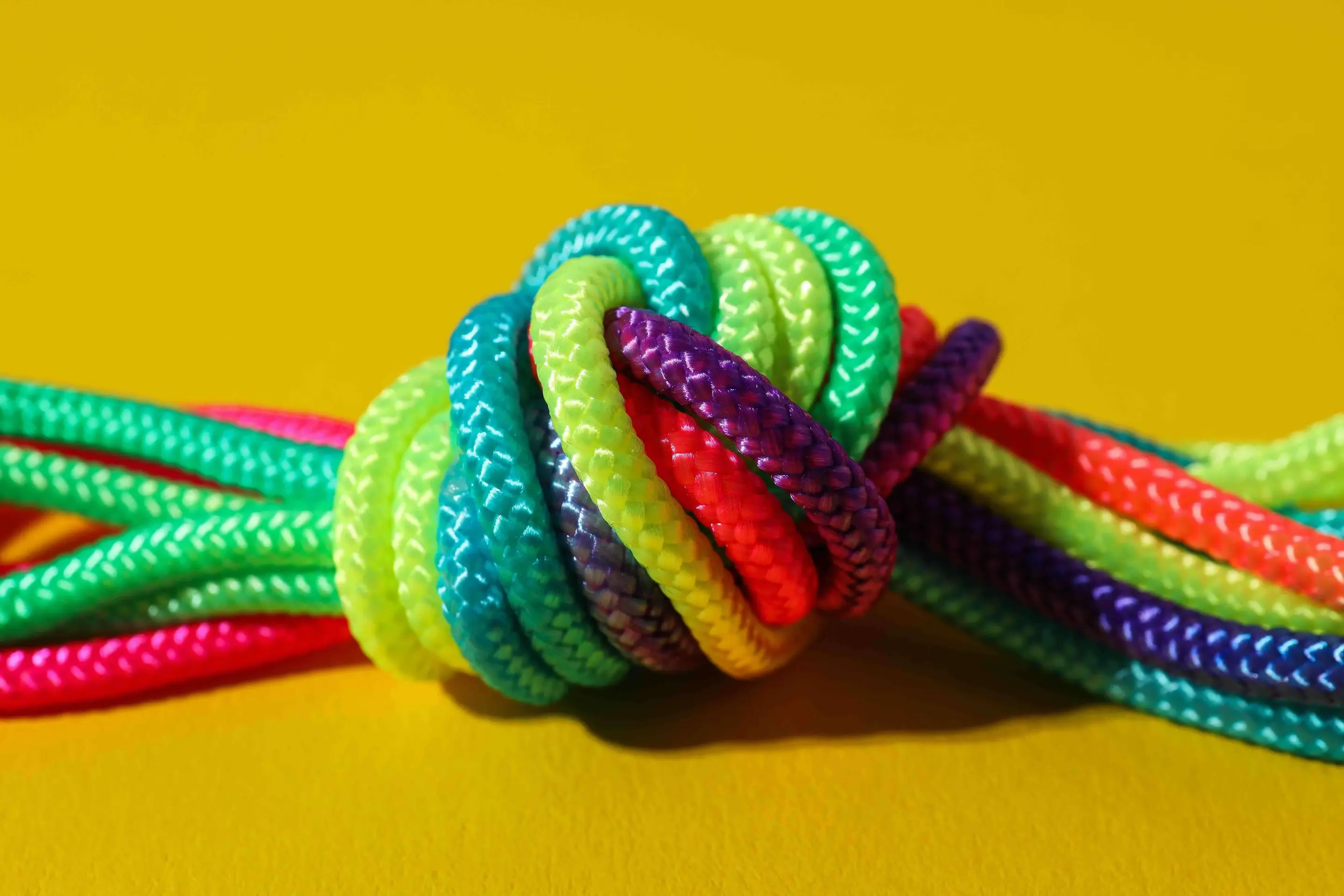 A knot made up of multicolored pieces of string 