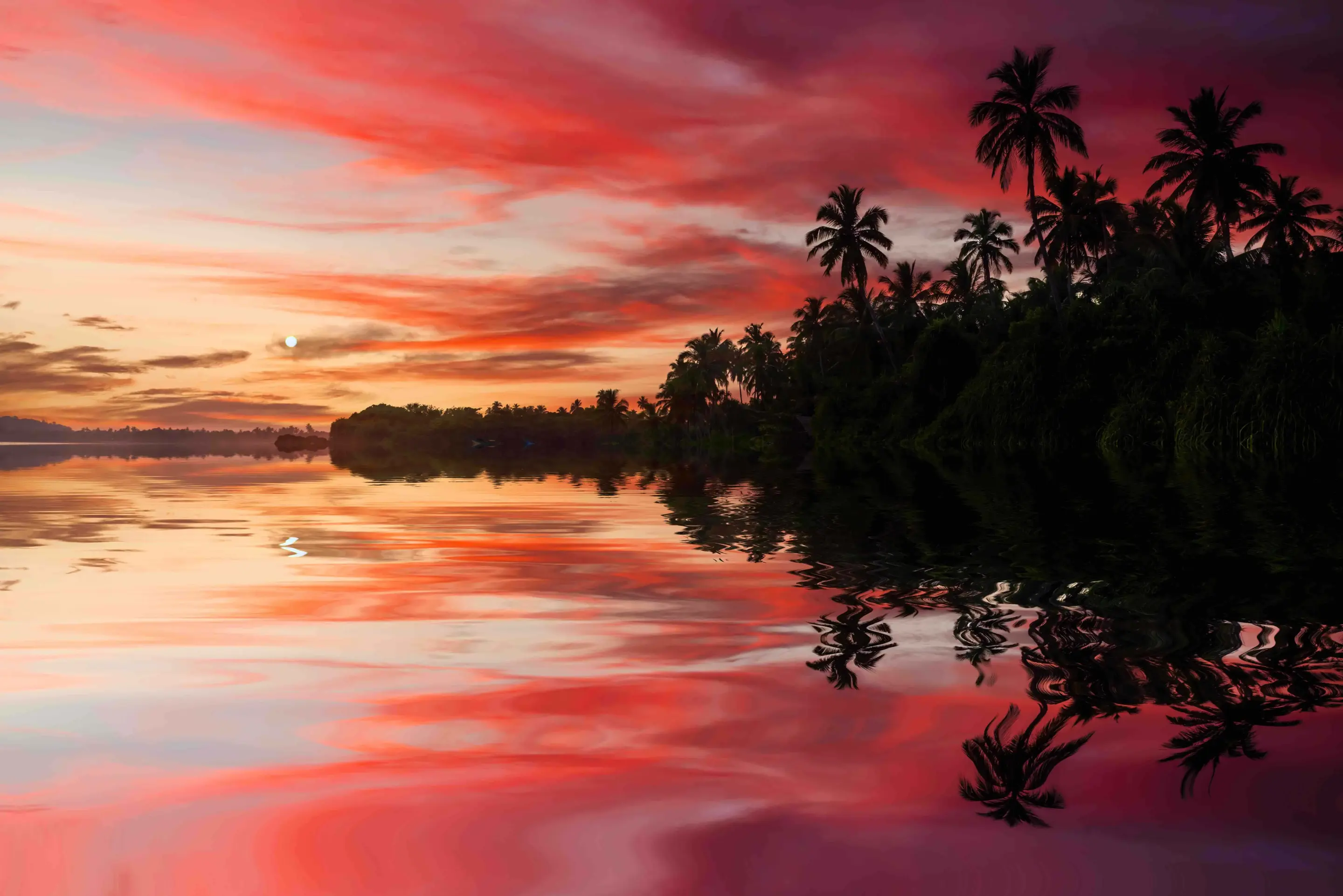A pink sunset over a lagoon with dense foliage and palm trees on the right hand side. 