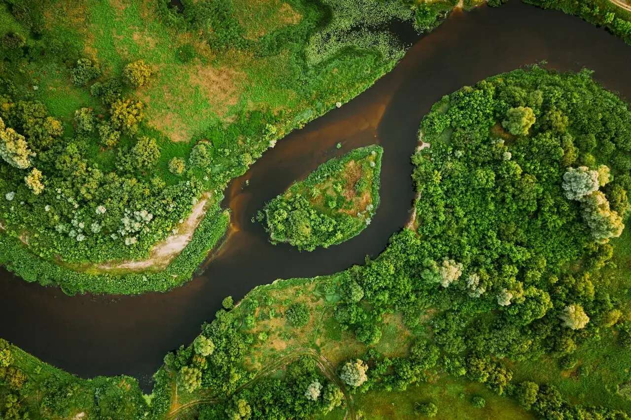 An overhead view of a river that splits and then comes back together