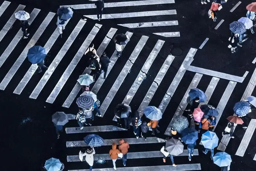 Pedestrians holding umbrellas in crosswalk