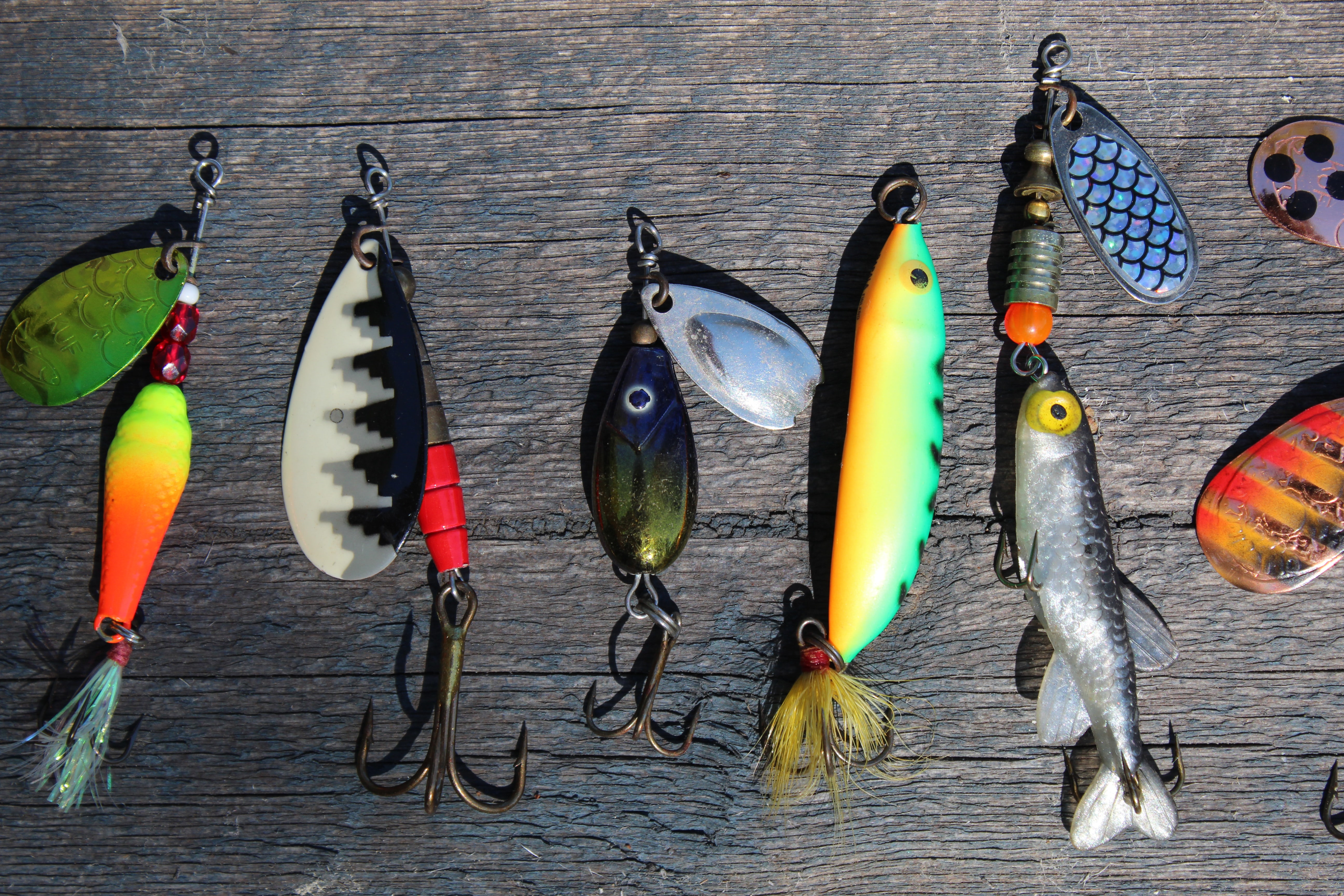 An assortment of fishing lures