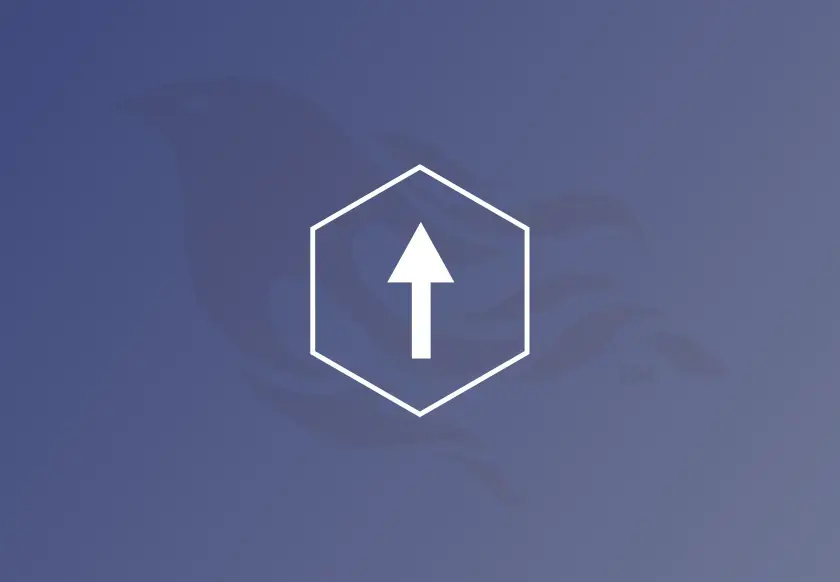 File Upload with Phoenix Logo in the background
