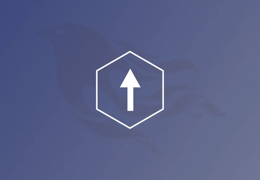 File Upload with Phoenix Logo in the background