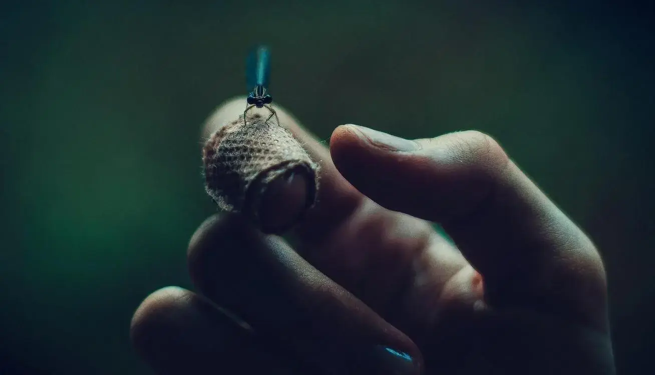 Bug resting on a finger