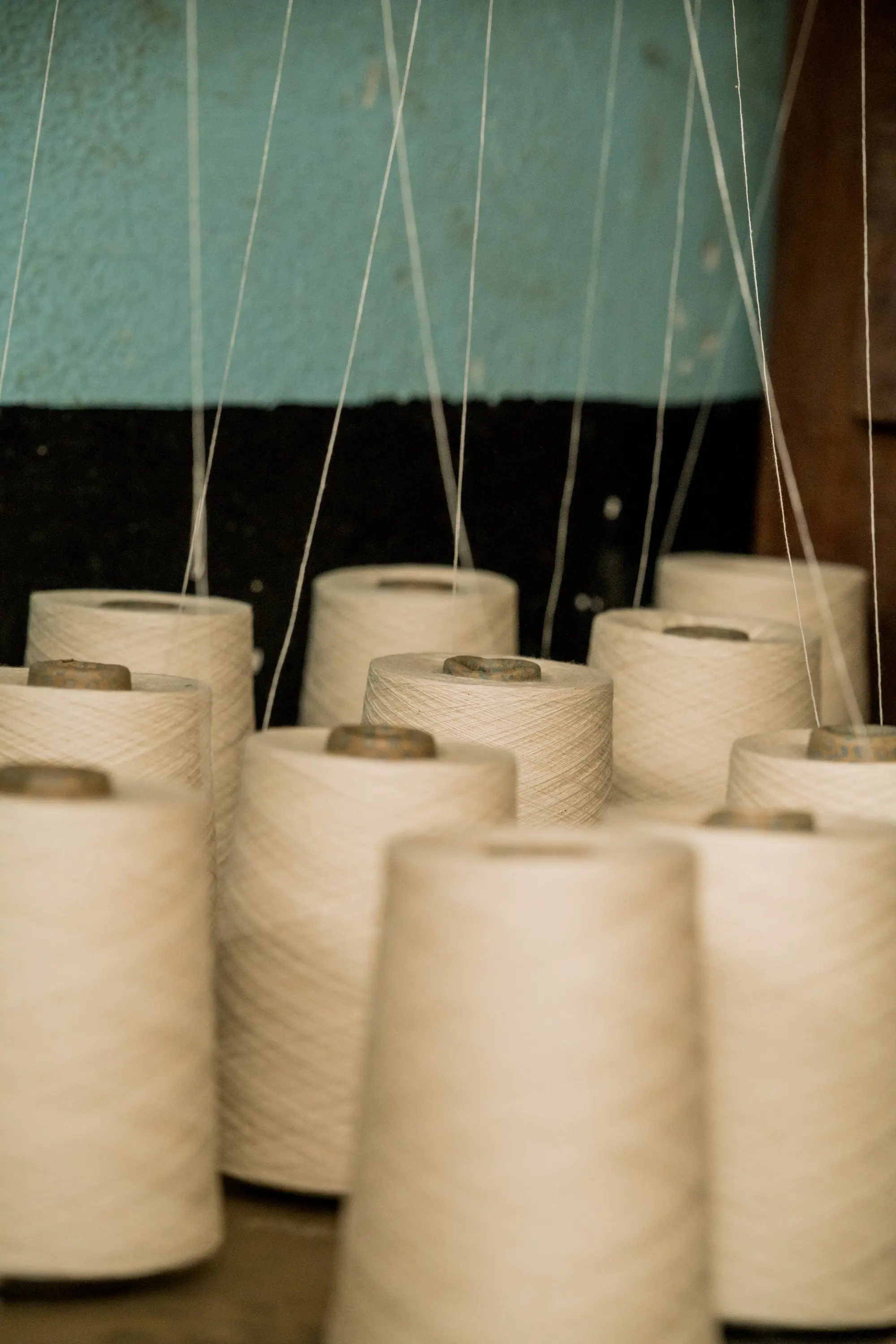 Photograph of multiple spools of thread.